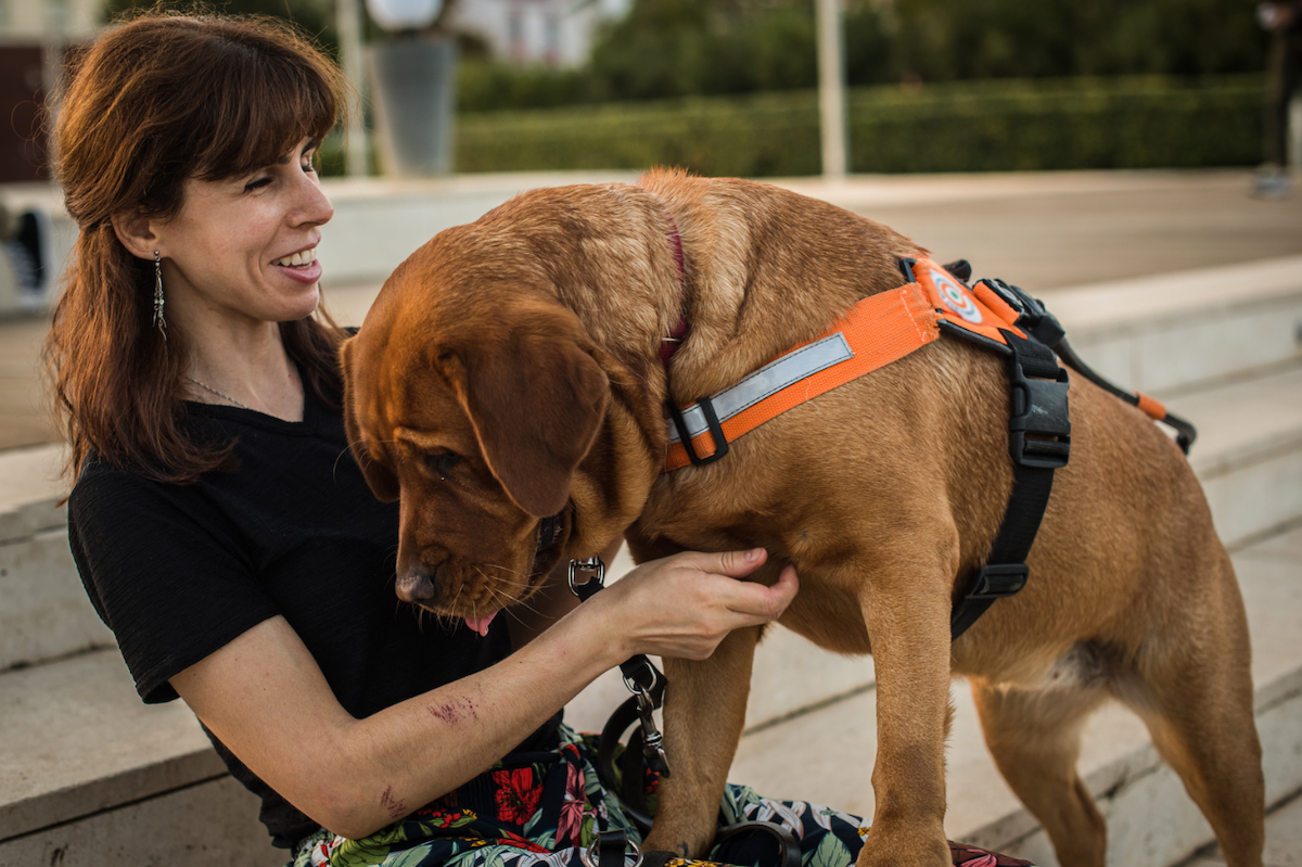 Understanding the 4 Legal Rights and Responsibilities of DPT Service Dog Owners